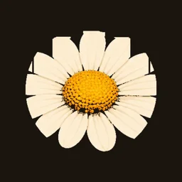 Bloom Radio